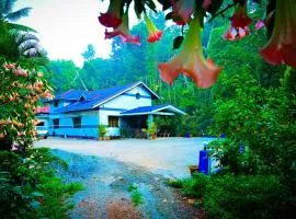 Green Palaces Homestay