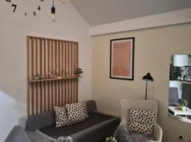 Centar Novi Sad-Apartman No 3 PARKING ON REQUEST