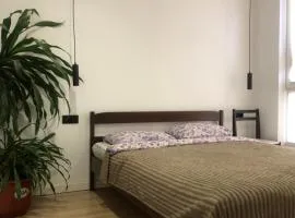 Затишна квартира