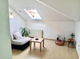 Stan Na Dan - Mladenovac