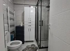 Stan na dan Vlasenica