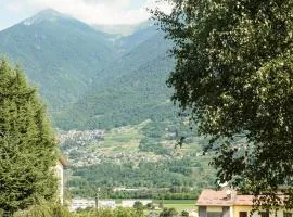 Il cuore della Valtellina - giardino privato