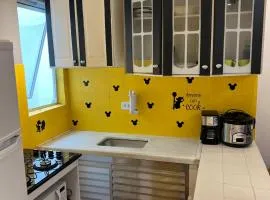 Praia Grande Aviação Apto Disney