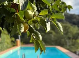Casa Rural Orilla del Hueznar