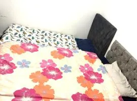 Bolton Executive Room