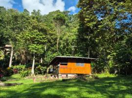 Barco Pirata-Beachfront jungle cabin, hotel in Puerto Jiménez