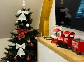 Duplex confort exceptionnel hyper centre parking à proximité