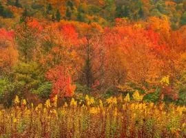 NEW Tryon Cabin by TIEC in Green River Highlands