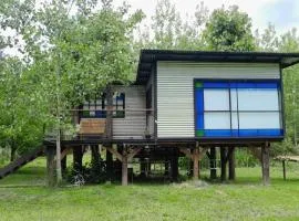 La casita del bosque en Muelle Delta Arias