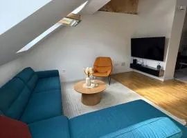 Luxury Titova Street Apartment Sarajevo