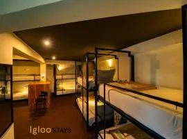 Igloo Stays Edapally