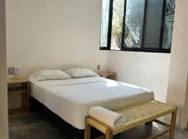 La Punta SurfHouse AC Starlink