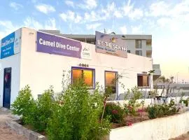 Camel Dive Club By The Sea Inn