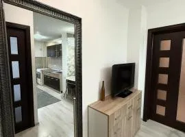 Apartament Densia in Craiova close to the center