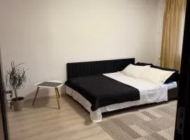 Apartament Densia in Craiova close to the center