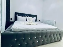 Secret Forest Avrig By Erwin