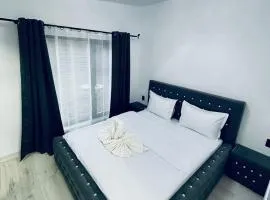 Secret Forest Avrig By Erwin