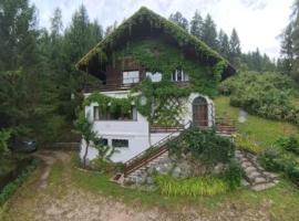 Villa Virginia Calalzo di Cadore, hotel in Calalzo