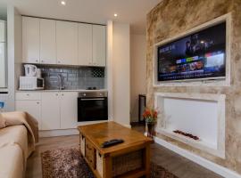 Modern Studio Apartment with Free Wifi，位于布罗姆利的酒店