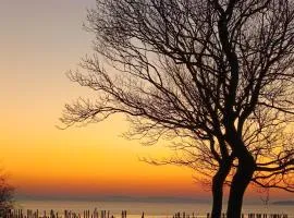 Ferienwohnung BoddenBee