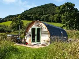 Barcud Coch - Uk44539