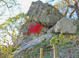 Ty Hir Bwlch Gwyn Farm Equestrian Centre