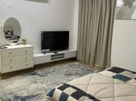 المسارات الدولية