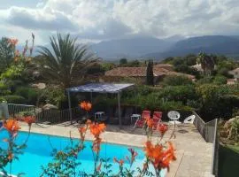 Villa les Palmiers pool spa view of Bavella