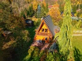 Domki Janosik - Góralski domek z kominkiem, przyjazny zwierzętom, ogrodzony, Łopuszna w Gorcach