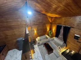 Chalet with heated pool, Oran