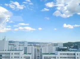 수서역삼성병원대치동공항버스