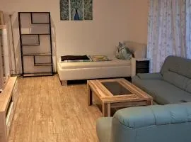 Apartment Top2,Steyr bei BMW BESTROOMS eU