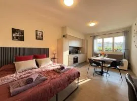 Bright studio apartment near ChorusLife and downtown