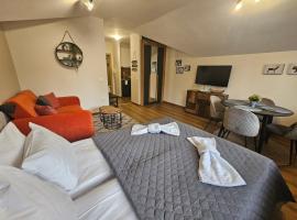 Rustic Mountain Apartment - A55