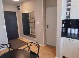Apartament Łąkoszyn Kutno