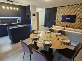 Appartement proche Stade de Lyon, LDLC Arena, eurexpo, aéroport Saint exupéry