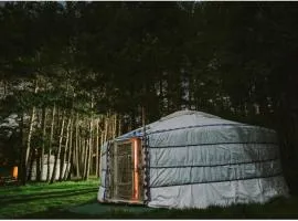 Les insolites de la bastide