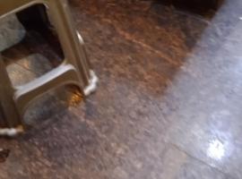 Fransisi, ξενοδοχείο σε Berkenbruck