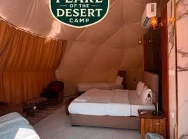 Pearl of the desert camp