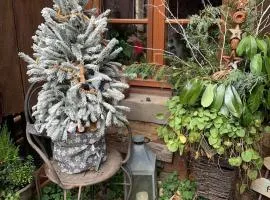 Gîte de caractère au calme , proche quartier historique, Au Merlenchanteur