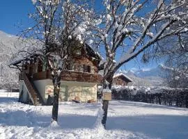 Chalet BLACKCOMB HOUSE ALPS close the ski piste and lake