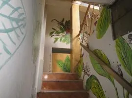 Coca Runa Wasi Hostel