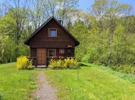 Magiczne Bieszczady - Krzywe 24