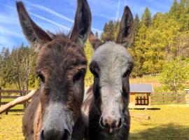 Ferienwohnung Lahnerhof