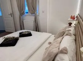 La maison de Paris Est- calme et moderne, proche de Paris,CDG & Villepinte