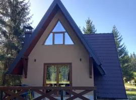 Mountain House Tadić 3