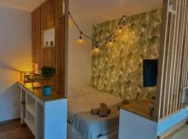 T1 cosy tout équipé, proche Airbus aéroport