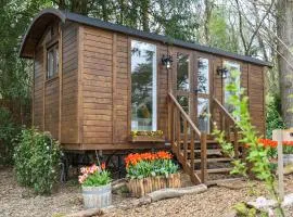 Sybs Farm Shepherds Hut
