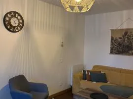 Renovated apartment intra muros