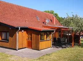 To the horse paddock